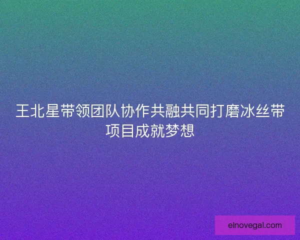 王北星带领团队协作共融共同打磨冰丝带项目成就梦想