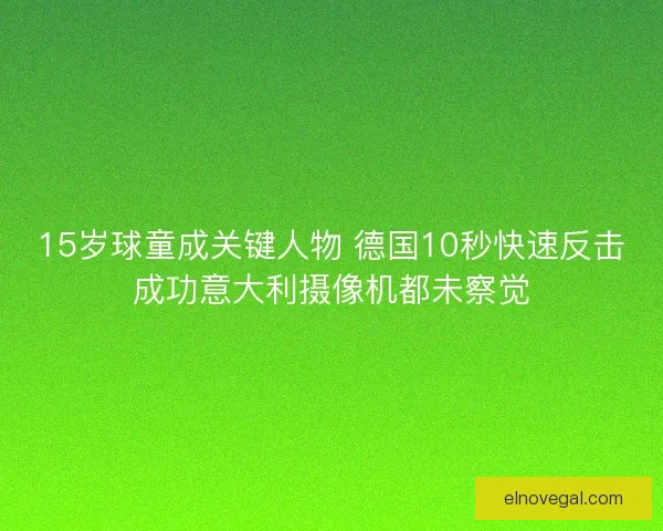 15岁球童成关键人物 德国10秒快速反击成功意大利摄像机都未察觉