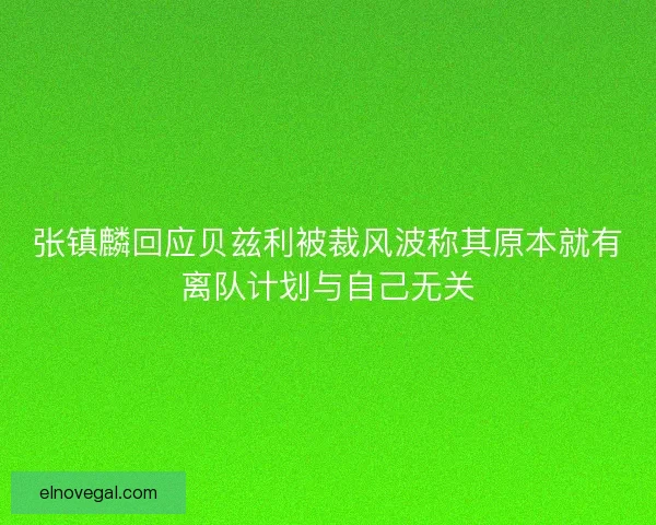 张镇麟回应贝兹利被裁风波称其原本就有离队计划与自己无关