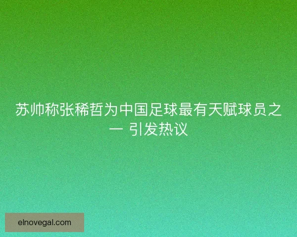 苏帅称张稀哲为中国足球最有天赋球员之一 引发热议